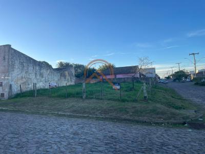 imagem-miniatura