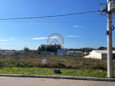 imagem-miniatura